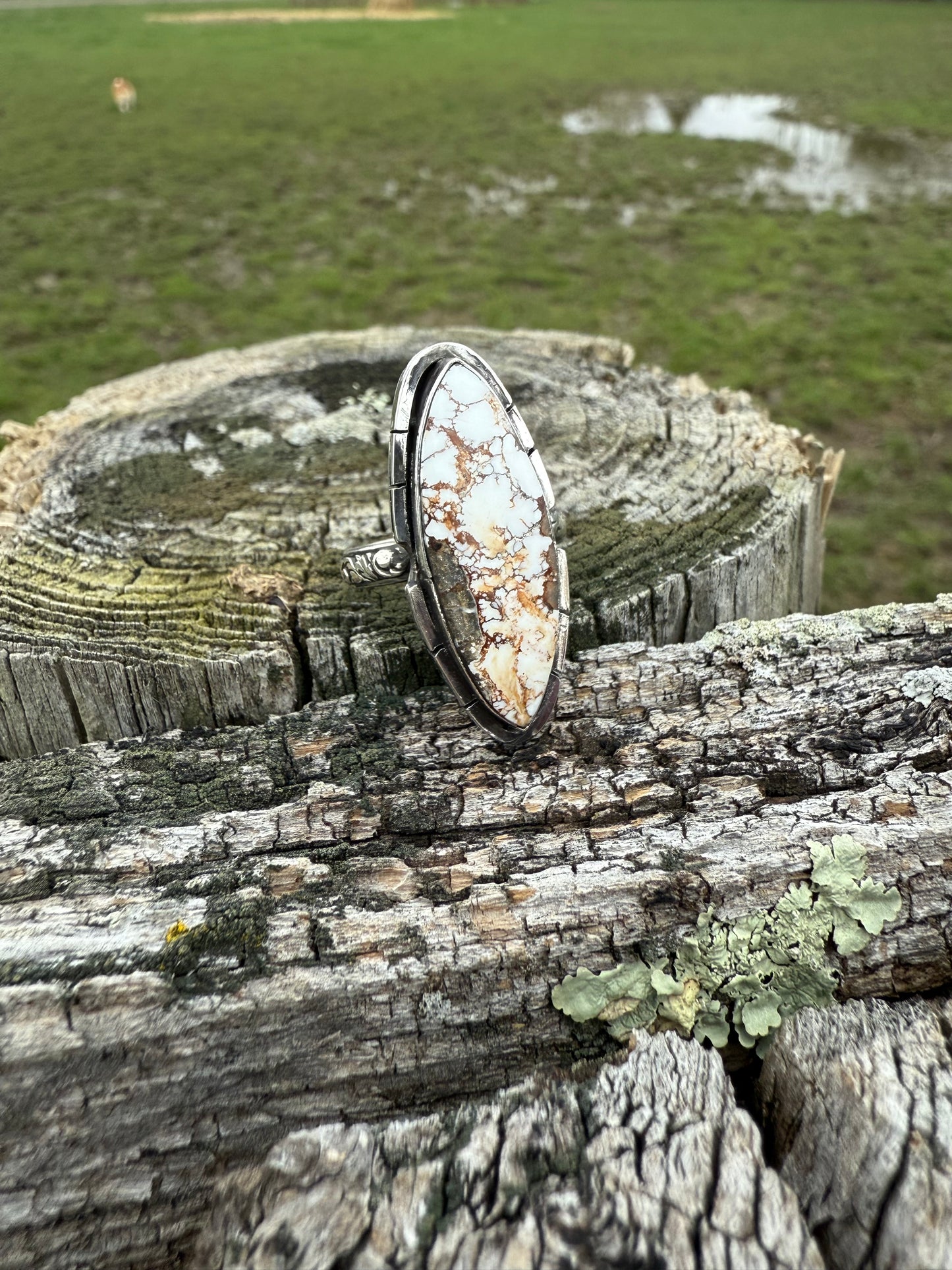 Wild Horse Ring