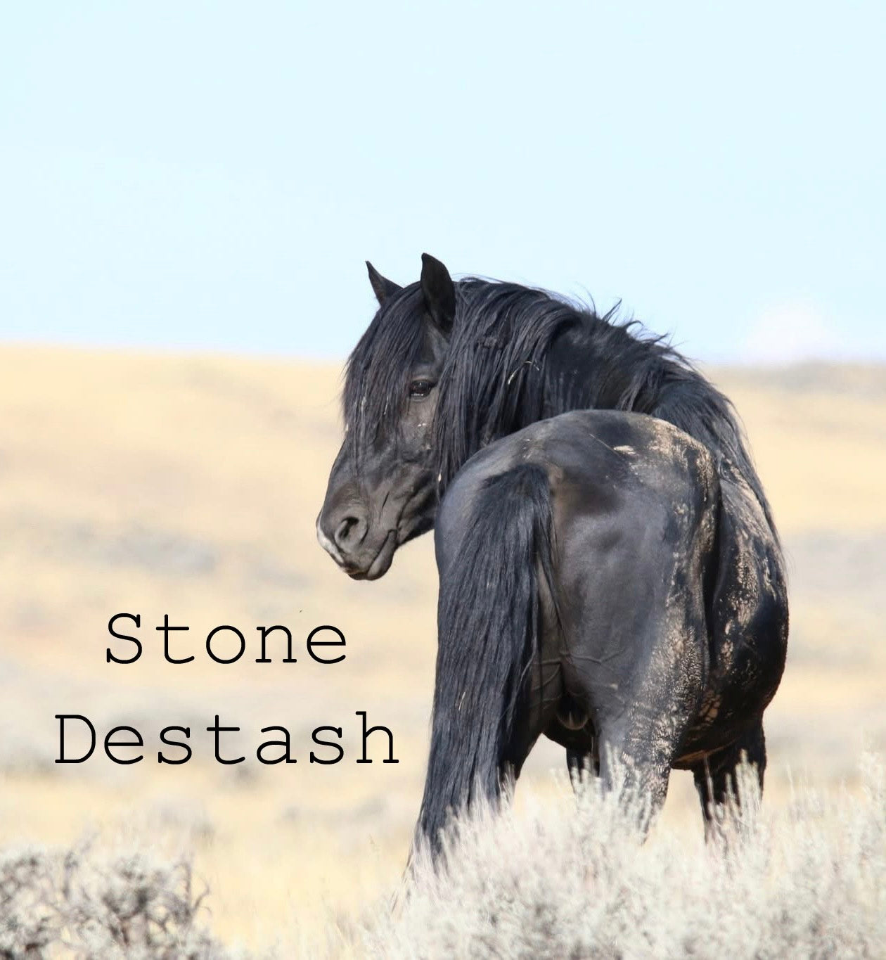 Stone Destash