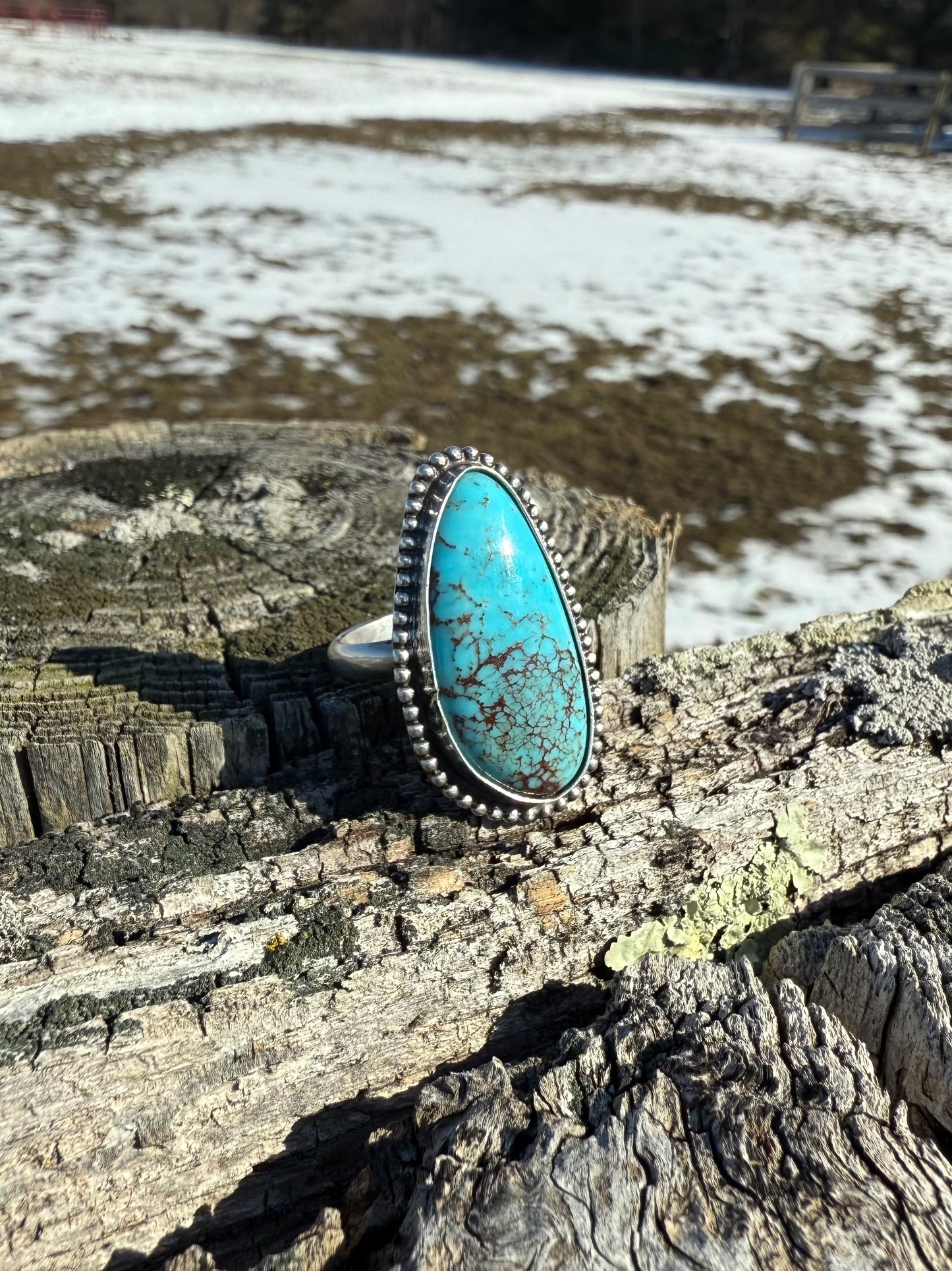 Egyptian Turquoise Ring