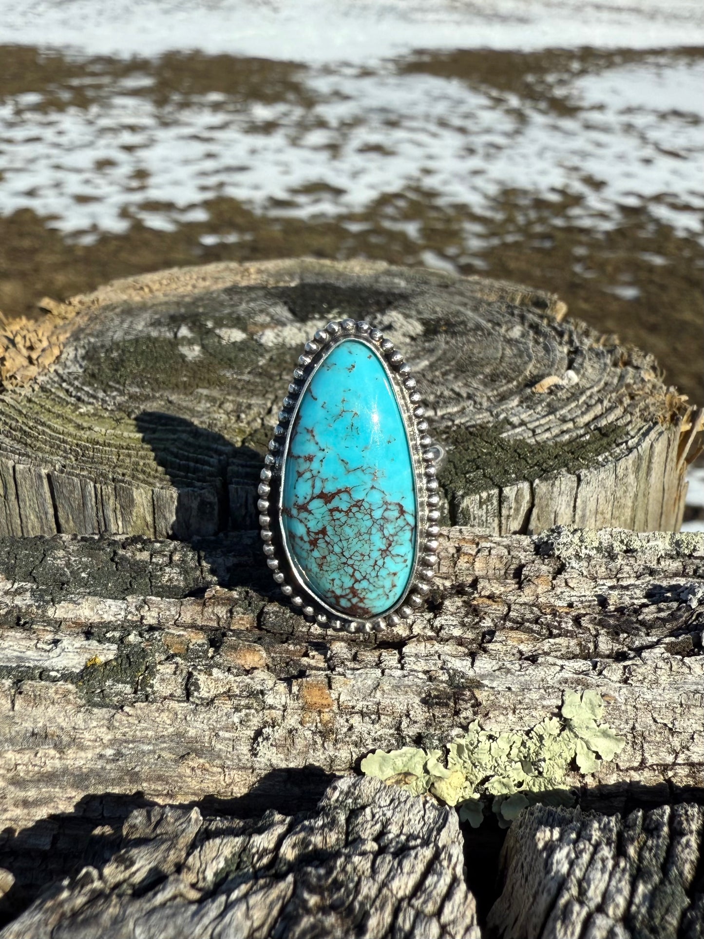 Egyptian Turquoise Ring