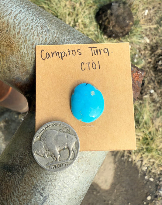 Campsitos Turquoise Cabochon CT01