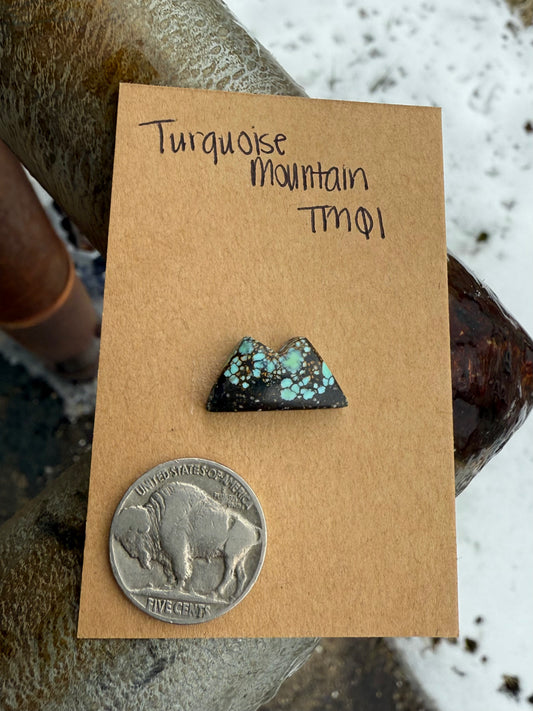 Turquoise Mountain TM01