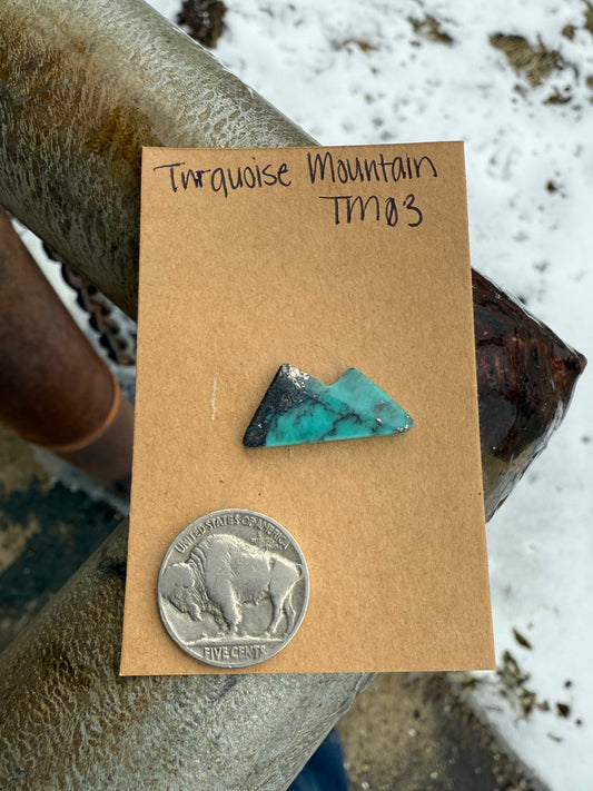 Turquoise Mountain TM03