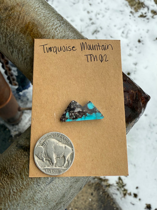 Turquoise Mountain TM02